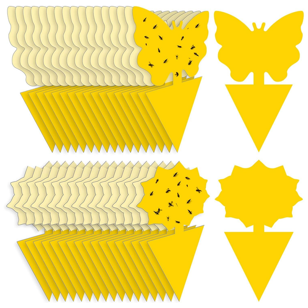 Fruit Fly Traps Fungus Gnat Traps Yellow Sticky Bug Traps 36 Pack No Harm and Odorless for Indoor Outdoor Use Protect The Plant
